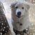Nancy Pagel Fohlbrook's profile image