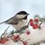 Judy Jolly Sturvist's profile image