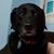 James Anthony's profile image