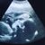 Kelley Lawless's profile image