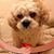 Jadenne Hayes Tyson's profile image