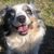 Brandy Lou Dees's profile image