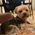 Kim Dawley Palmore's profile image