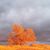 Phil VanZegeren's profile image
