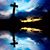 Shawney Schnabel's profile image