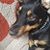 Tamar Excell's profile image