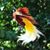 Geo Tangerang's profile image