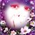 Chrissie Moore's profile image