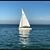 Andy Hayward's profile image