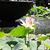 Tifani Pust's profile image