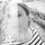 Marla Singer's profile image