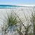 Nikki Woolverton's profile image