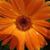 Cathy Hadyniak's profile image