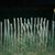 Cory Biggerstaff's profile image