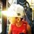 Cris Cardoso's profile image