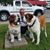 Julie Green's profile image