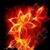 Alena Tokarev's profile image
