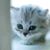 Carolyn Keris's profile image
