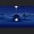 Janet Daurizio's profile image