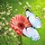 Deborah Wiese Miller's profile image