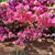 Rhonda Rocchio's profile image