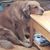 Barbara Bragdon's profile image