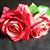 Teresa Jimenez's profile image