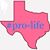 Elizabeth Renee Brandes's profile image