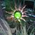 Mary Rutherford's profile image