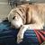 Dawn Hoover Wright's profile image
