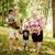 Kim Lighthart Sweedyk's profile image