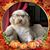 Christine Crowley White's profile image
