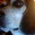 Joan Rowland's profile image
