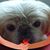 Barbara Hairelson's profile image