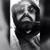 Ismael Zacarias's profile image