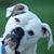 Vikki Webb-Wood's profile image