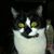 Ellie Sargent's profile image