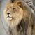 Len Garvey's profile image
