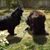 Candy Wetzler Davila's profile image