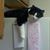 Boso Sweet's profile image