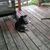Terri Sue Dugan's profile image