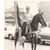 Barbara Burleigh See's profile image