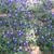 Janice Herzer's profile image