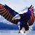 Brian Gerhart's profile image