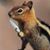Scooter McScooterson's profile image
