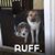 Debbi Waters's profile image