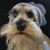 Evelyn Gordon Kerr O'Dell's profile image