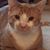Lisa Duyckinck's profile image
