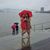 Sharon Gingrich Milburn's profile image