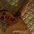 Keith Doheny's profile image